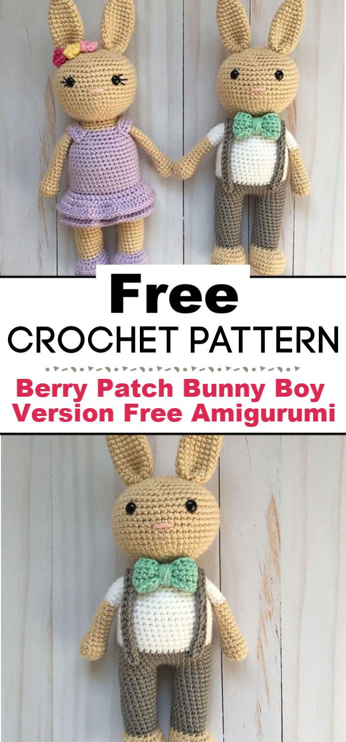 Berry Patch Bunny Boy Version A Free Amigurumi Pattern