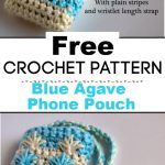 Blue Agave Phone Pouch