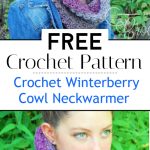 Crochet Winterberry Cowl Neckwarmer Pattern