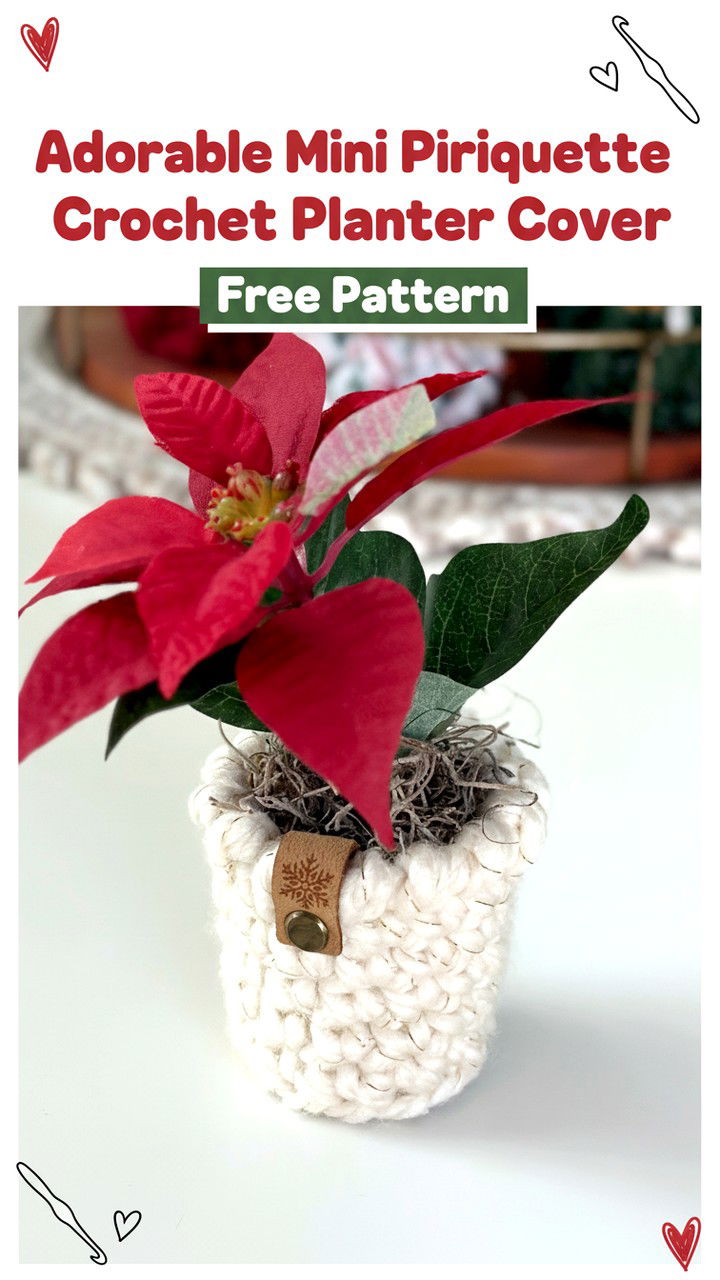 Adorable Mini Pirouette Crochet Planter Cover Free Pattern