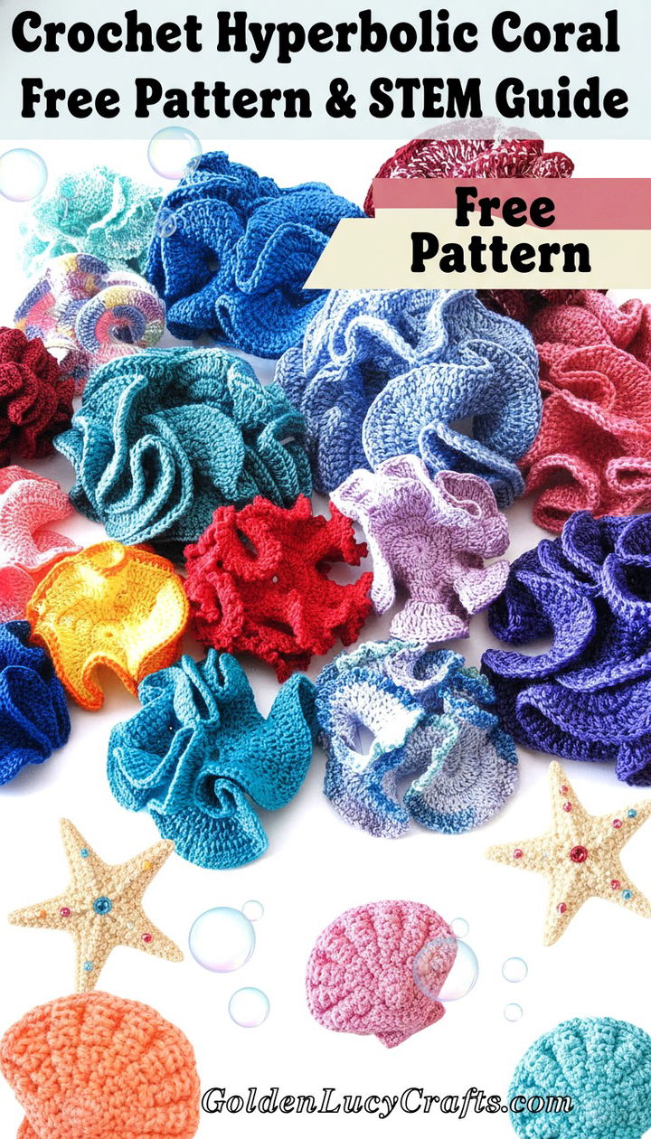 Explore the Mathematical Beauty of the Crochet Hyperbolic Coral