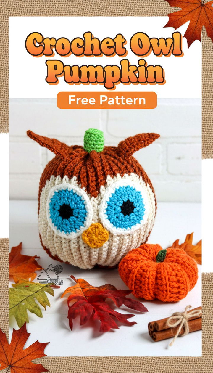 Combine Seasonal Fun with a Whimsical Crochet Owl Pumpkin