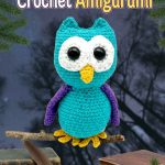 Bring a Wise Companion Home with the Odin the Owl Crochet Amigurumi