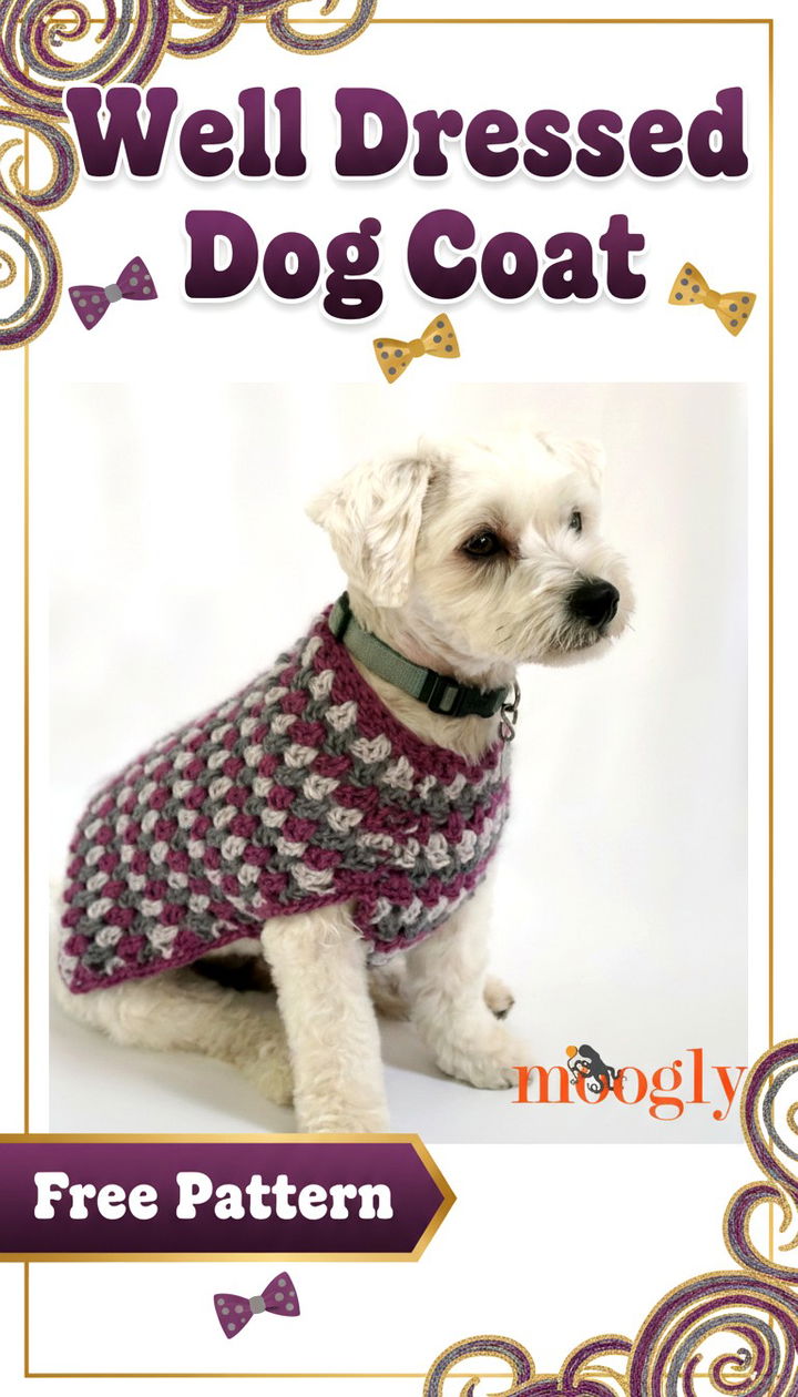 Elevate Your Pet’s Wardrobe with the Well Dressed Dog Coat