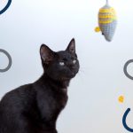 Classic Squeaky Toy Mouse Free Cat Amigurumi Pattern