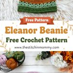 Elegant Eleanor Beanie Free Crochet Pattern and Styling Guide