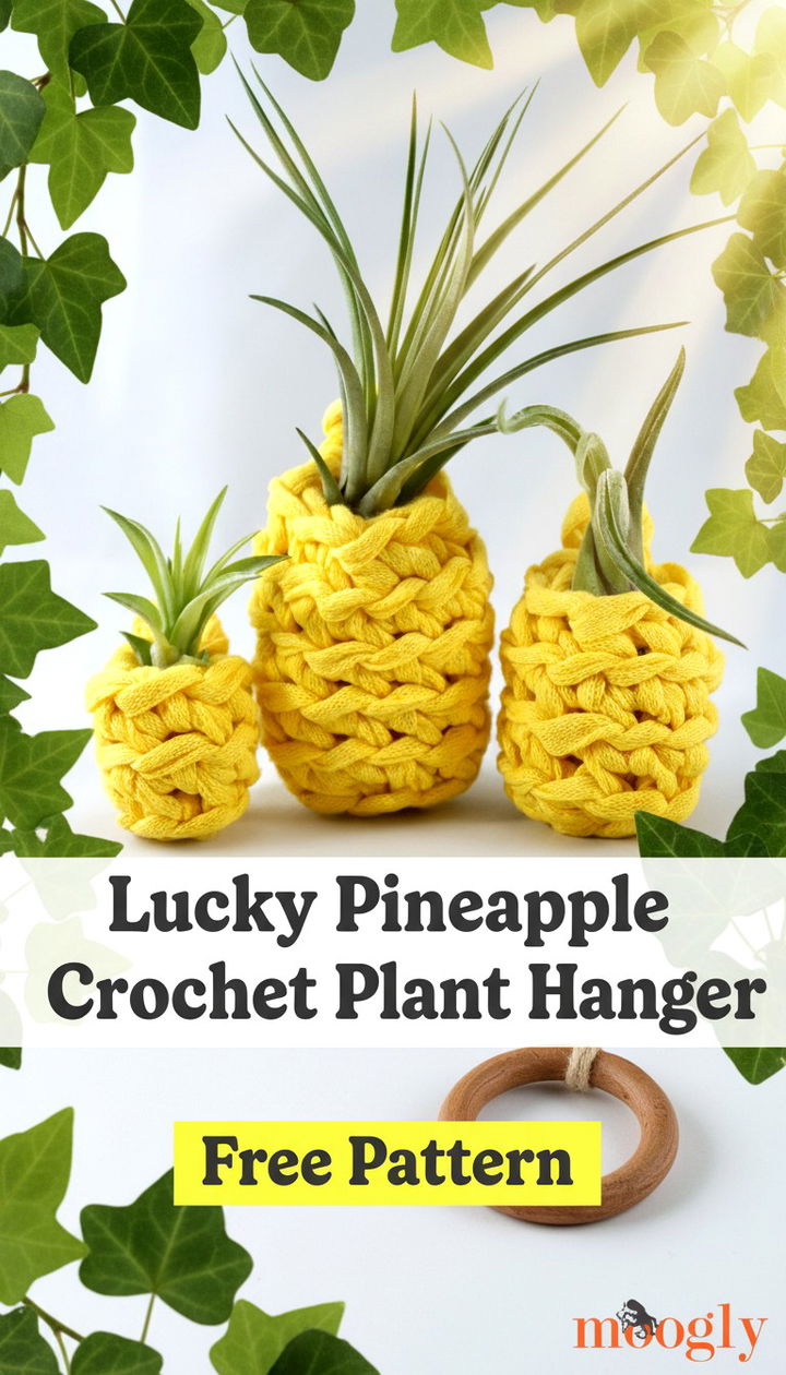 Craft Charming Lucky Pineapple Plant Hangers With This Free Pattern