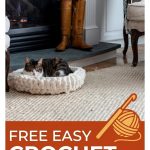 10 Free Crochet Cat Accessory Patterns
