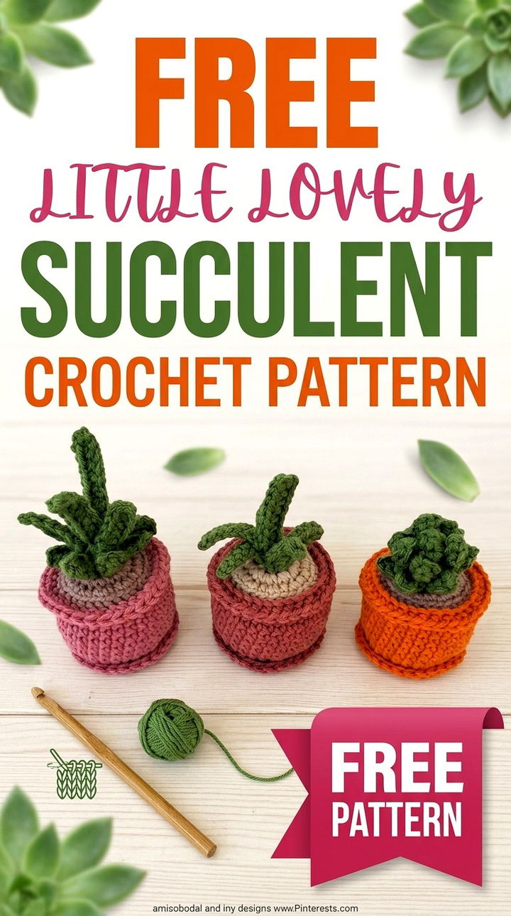 Free Little Lovely Succulent Crochet Pattern Modern Groovy Plant Decor