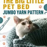 Free Crochet The Big Little Pet Bed Jumbo Yarn Pattern
