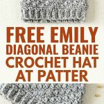 Free Emily Diagonal Beanie Crochet Hat Pattern Modern Groovy Winter Style
