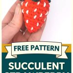 Succulent Strawberry Vibrant Retro Chic Crochet Plant Decor