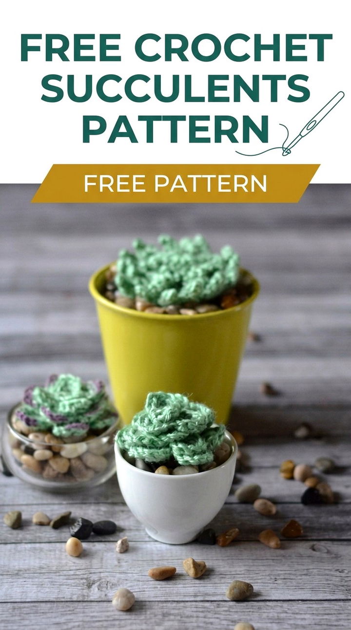 Bring the Outdoors In with This Free Crochet Succulents Pattern