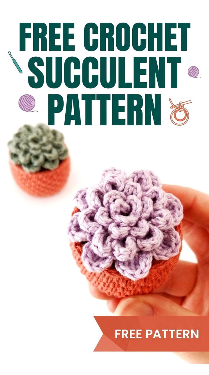 Free Crochet Succulent Pattern The Ultimate Low Maintenance Houseplant